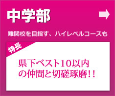 ページタイトル